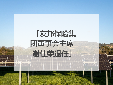 友邦保险集团董事会主席谢仕荣退任