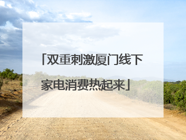 双重刺激厦门线下家电消费热起来