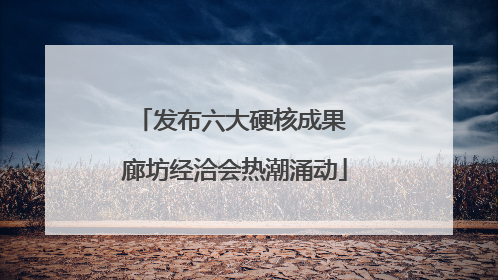 发布六大硬核成果 廊坊经洽会热潮涌动