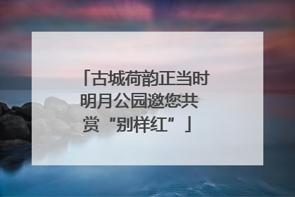 古城荷韵正当时 明月公园邀您共赏“别样红”