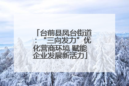 台前县凤台街道：“三向发力”优化营商环境 赋能企业发展新活力