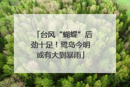 台风“蝴蝶”后劲十足！鹭岛今明或有大到暴雨