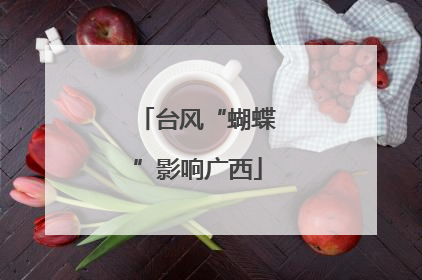 台风“蝴蝶”影响广西