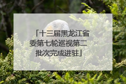 十三届黑龙江省委第七轮巡视第二批次完成进驻