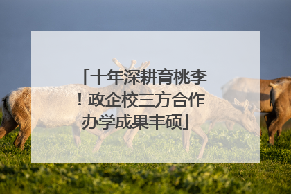 十年深耕育桃李！政企校三方合作办学成果丰硕