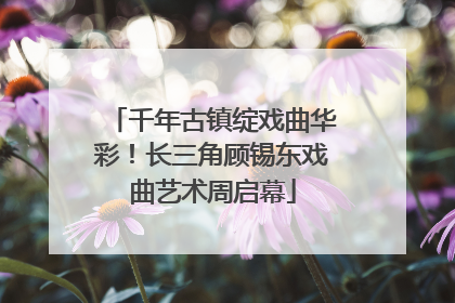千年古镇绽戏曲华彩！长三角顾锡东戏曲艺术周启幕