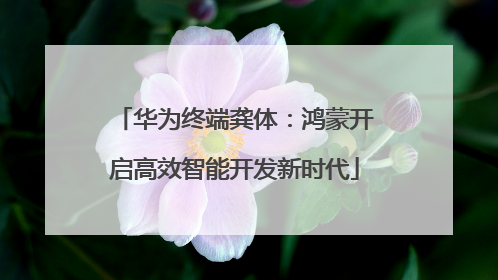 华为终端龚体：鸿蒙开启高效智能开发新时代