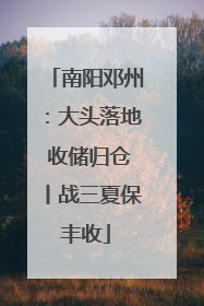 南阳邓州：大头落地 收储归仓丨战三夏保丰收