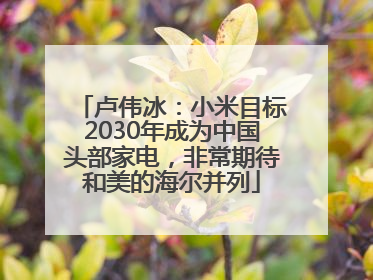 卢伟冰：小米目标2030年成为中国头部家电，非常期待和美的海尔并列