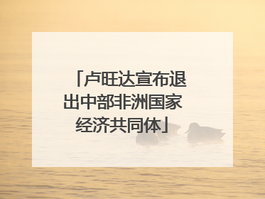 卢旺达宣布退出中部非洲国家经济共同体