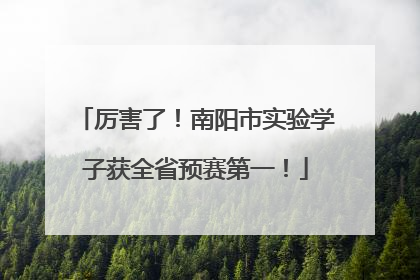 厉害了！南阳市实验学子获全省预赛第一！