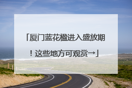 厦门蓝花楹进入盛放期！这些地方可观赏→