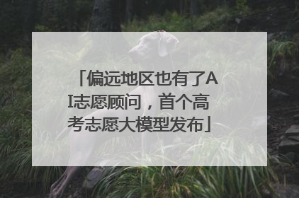 偏远地区也有了AI志愿顾问，首个高考志愿大模型发布
