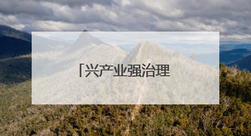 兴产业强治理 抓项目促振兴
