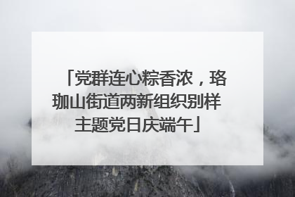 党群连心粽香浓，珞珈山街道两新组织别样主题党日庆端午
