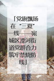 党旗飘扬在“三夏”一线——宛城区溧河街道党群合力筑牢禁烧防线