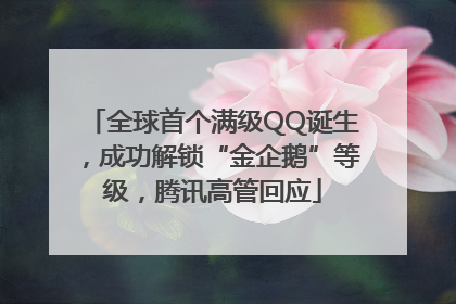 全球首个满级QQ诞生，成功解锁“金企鹅”等级，腾讯高管回应
