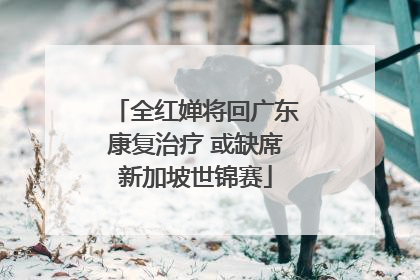 全红婵将回广东康复治疗 或缺席新加坡世锦赛
