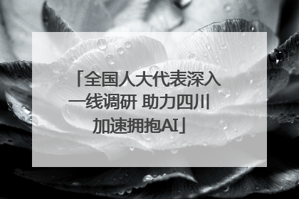 全国人大代表深入一线调研 助力四川加速拥抱AI