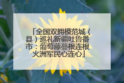 全国双拥模范城（县）巡礼新疆吐鲁番市：葡萄藤蔓根连根 火洲军民心连心