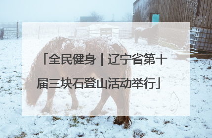全民健身｜辽宁省第十届三块石登山活动举行