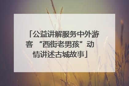 公益讲解服务中外游客 “西街老男孩”动情讲述古城故事