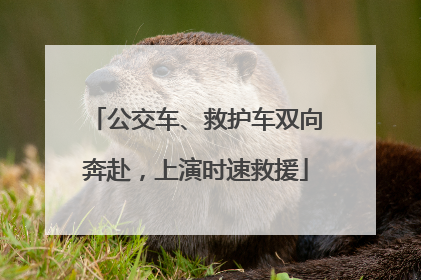 公交车、救护车双向奔赴，上演时速救援