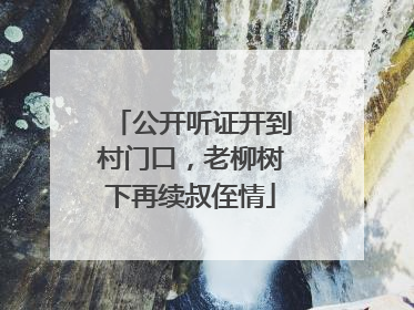 公开听证开到村门口，老柳树下再续叔侄情