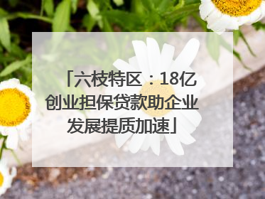 六枝特区：18亿创业担保贷款助企业发展提质加速