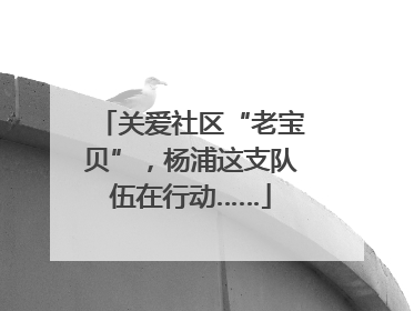 关爱社区“老宝贝”，杨浦这支队伍在行动……