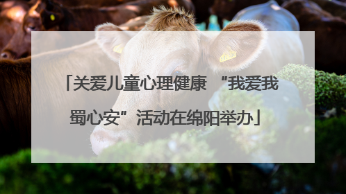 关爱儿童心理健康 “我爱我 蜀心安”活动在绵阳举办