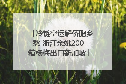 冷链空运解侨胞乡愁 浙江余姚200箱杨梅出口新加坡