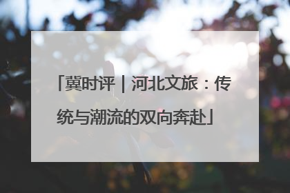 冀时评｜河北文旅：传统与潮流的双向奔赴