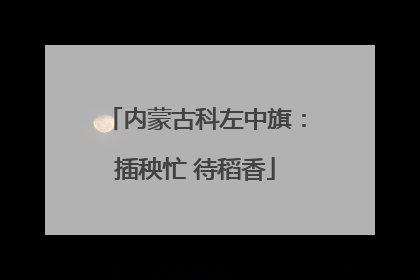 内蒙古科左中旗：插秧忙 待稻香