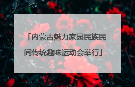 内蒙古魅力家园民族民间传统趣味运动会举行