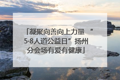 凝聚向善向上力量 “5·8人道公益日”扬州分会场有爱有健康
