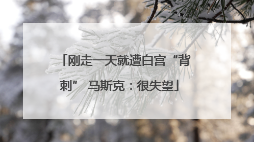 刚走一天就遭白宫“背刺” 马斯克：很失望