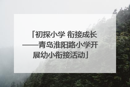 初探小学 衔接成长——青岛淮阳路小学开展幼小衔接活动