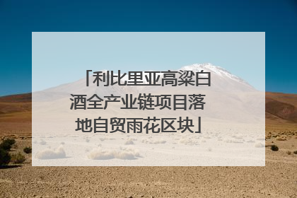 利比里亚高粱白酒全产业链项目落地自贸雨花区块