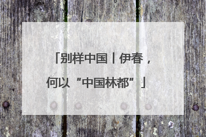 别样中国丨伊春，何以“中国林都”