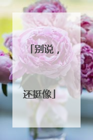 别说，还挺像