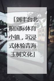 到丰台北粮国际体育小镇，沉浸式体验青海玉树文化