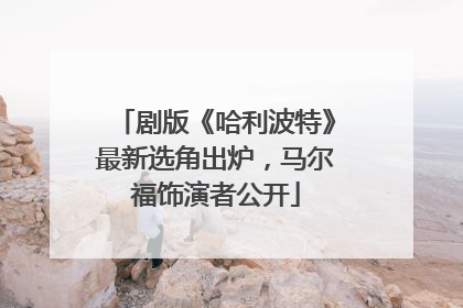 剧版《哈利波特》最新选角出炉，马尔福饰演者公开