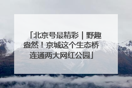 北京号最精彩｜野趣盎然！京城这个生态桥连通两大网红公园