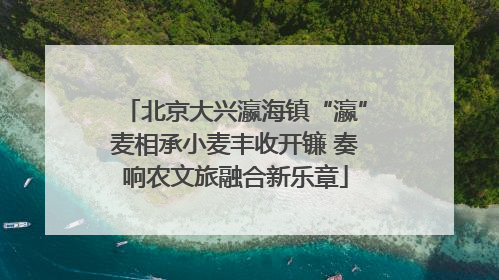 北京大兴瀛海镇“瀛”麦相承小麦丰收开镰 奏响农文旅融合新乐章