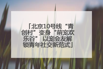 北京10号线“青创村”变身“萌宠欢乐谷” 以宠会友解锁青年社交新范式