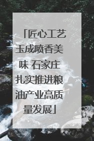 匠心工艺玉成喷香美味 石家庄扎实推进粮油产业高质量发展