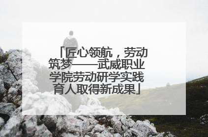 匠心领航，劳动筑梦——武威职业学院劳动研学实践育人取得新成果