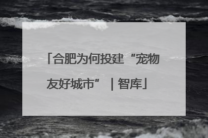 合肥为何投建“宠物友好城市”｜智库