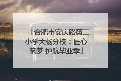合肥市安庆路第三小学大杨分校：匠心筑梦 护航毕业季